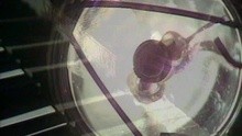 S.T.S - Uberdosis G Fuhl