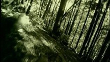 Someone's In The Wolf