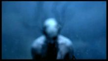 The Nobodies