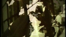 Luo Hua Liu Shui