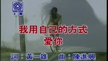 Wo Yong Zi Ji De Fang Shi Ai Ni