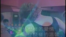 She Mo Yang De Ai