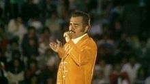 Vicente Fernández - Vicente Fernández - Marioneta 官方版