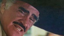 Vicente Fernández - Vicente Fernández - La Derrota 官方版