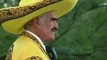 Vicente Fernández - Vicente Fernández - Niña Hechicera  官方版