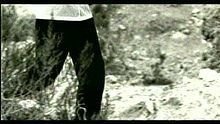 Alex Baroni《Pavimento Liquido》
