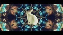 Don Diablo feat. Angela Hunte《Lights Out Hit》