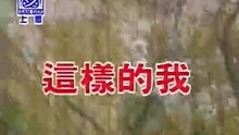 李翊 - 李翊君-这样的我