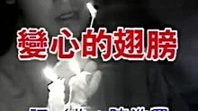 陈明 - 陈明真-变心的翅膀