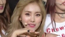 D.Holic - D.Holic - Chewy 现场版
