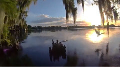 音乐短片 - Kingfisher (Original Mix)