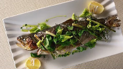 音乐短片 - 馋涎欲滴