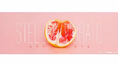Stellar - Vibrato