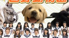 乃木坂46 - NOGIBINGO!5 EP01