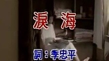 许茹芸-泪海