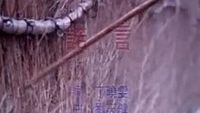 李翊 - 李翊君-诺言