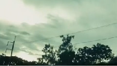 音乐短片 - Shado