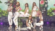 Apink - Apink - Attracted To U 现场