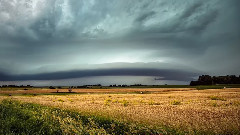 音乐短片 - Nature Field