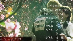华语群星 - 我们是好汉