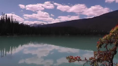 音乐短片 - Bamboo Flute