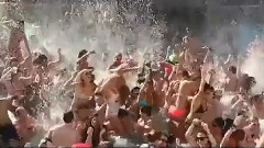 音乐短片,搞笑音乐,欧美群星 - Harlem Shake