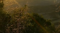 音乐短片 - Summer