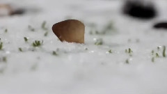 音乐短片 - Nocturne - The First Snow