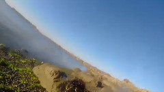 音乐短片 - Moxie and Camper