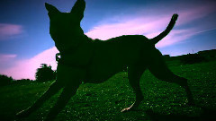 音乐短片 - Moxie at Pt.Isabel