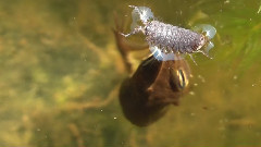 音乐短片 - Macro Test Part 2