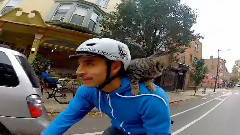 音乐短片 - 带小猫一起骑行