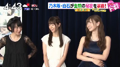 乃木坂46 - 新闻短片:西野七瀬 白石麻衣 生駒里奈访谈