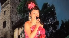 模仿翻唱 - 醉美昭平