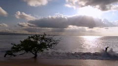 音乐短片 - Purple Dreams