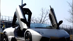 音乐短片 - Where Have You Gone