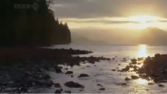 音乐短片 - Citadela