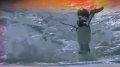 音乐短片 - Ingerii Luminii