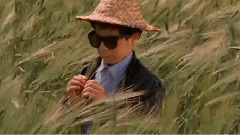 音乐短片 - Culoarea Paradisului