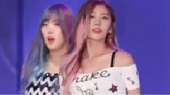 Hello Venus - Wiggle Wiggle