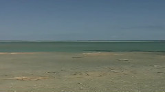 音乐短片 - Heaven