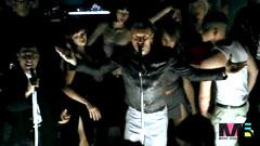 Sting - Desert Rose