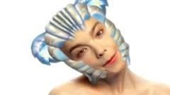 Björk - Hunter