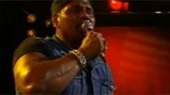 Neville Brothers - Bird On A Wire