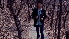 华语群星 - 回不去的起点
