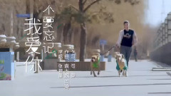 张碧晨,影视原声 - 不要忘记我爱你