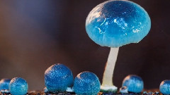 音乐短片 - Timebefore