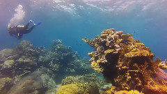 音乐短片 - Australia Backpacking 2014