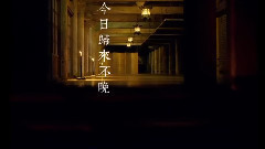 朴树 - 在木星