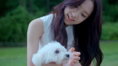 April(韩国) - April全员预告